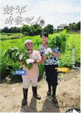 明星大侦探 免费观看电影电视剧的app